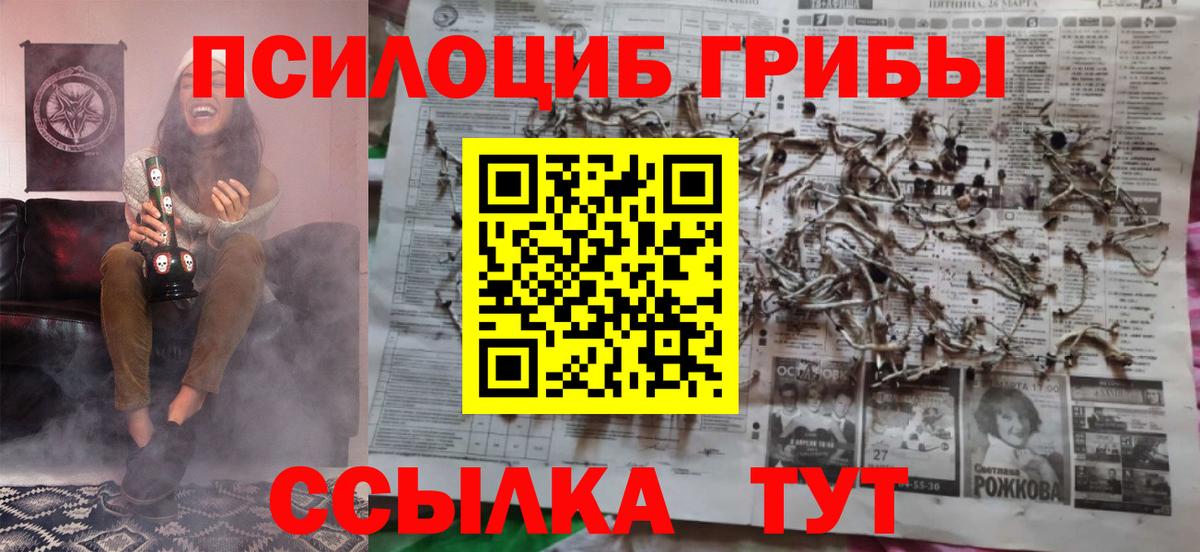 Псилоцибиновые грибы MAGIC MUSHROOMS Советская Гавань