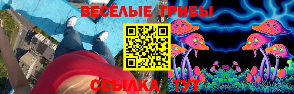 Галлюциногенные грибы Magic Shrooms  дарнет шоп  Советская Гавань  Вход с VPN 